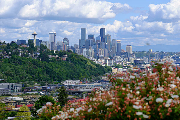 Ella Bailey Park Seattle