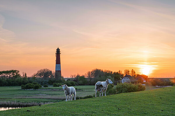 Lighthouse of Pellworm, North Frisia, Germany