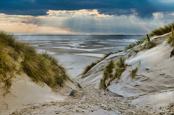 Dunes at the Beach of Amrum