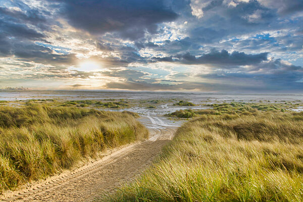 Dunes at the Beach of Amrum, Germany, Europe