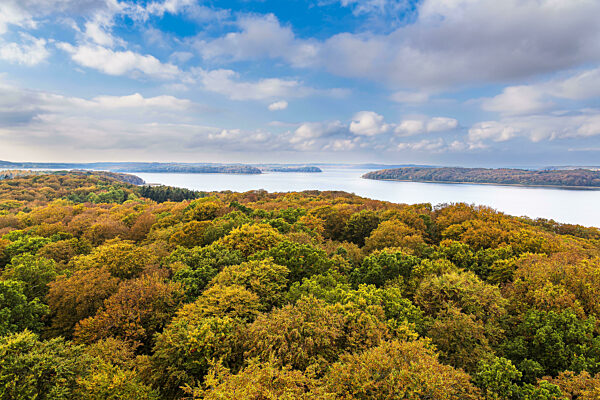 Herbstliche Wälder auf der Insel Rügen