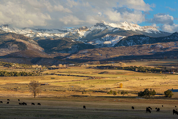 Late autumn in Colorado