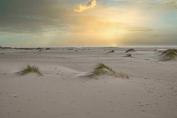 Dunes at the Beach of Amrum