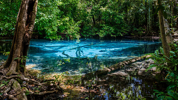 Emerald pool and Blue pool in Krabi Thailand, tropical lagoon in national park with