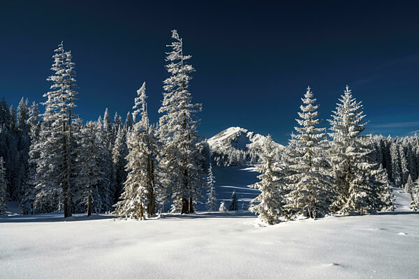 Winter landscape picture from tannheimer valley mountain pirschling and schönkahler with fresh snow