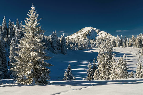 Winter landscape picture from tannheimer valley mountain pirschling and schönkahler with fresh snow
