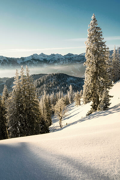 Snowshoe hiking in Tannheimer valley at surnise. Mountain Pirschling and Schönkahler