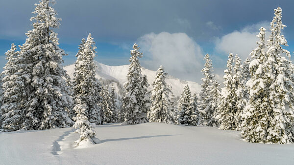 View from Mountain Wannenkopf near Nagelfluhkette in winter above the clouds