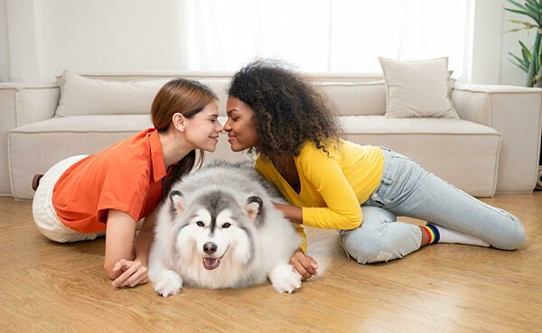 LGBT couple with Siberian husky dog at home