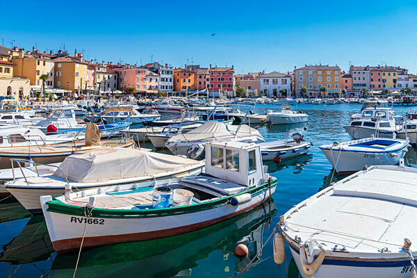rovinj harbor in croatia