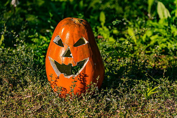 A scary spooky Halloween pumpkin carved for Hallows' Eve