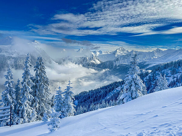 Magisches Winterwunderland Jedes Jahr packt der Winter die Landschaften in seinen Bann und verwandelt sie in ein magisches Wunderland. Wie mit Puderzucker bestäubte Landschaften oder unter der schweren Schneelast sich bückende Bäume - mit der Kombination von stimmungsvollem Licht verwandelt sich die Natur in ein Winterwunderland.