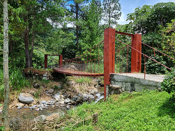 Panama, Boquete, rusty iron bridge in the jungle
