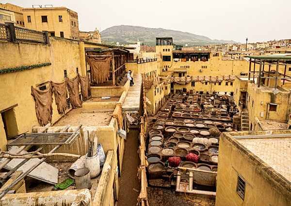 Leather Production Site