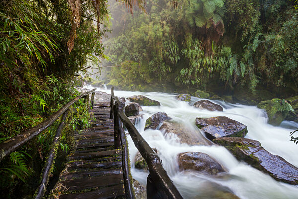 Creek in Südregen Wald alomg Carretera Austral in Chile, Südamerika