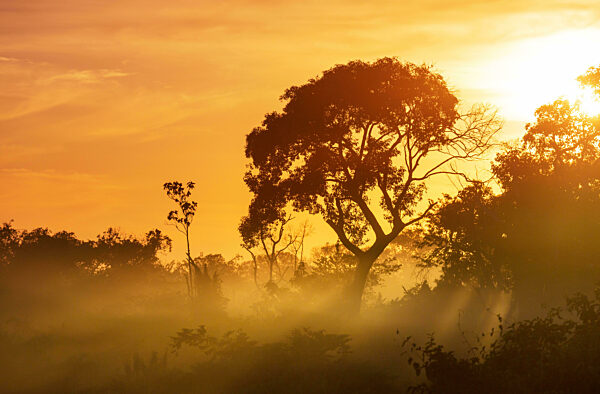 Tropischer Sonnenaufgang
