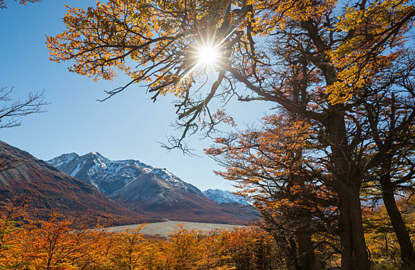 Herbst in Patagonien
