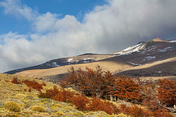 Herbstsaison in Patagonien, Südamerika, Argentinien