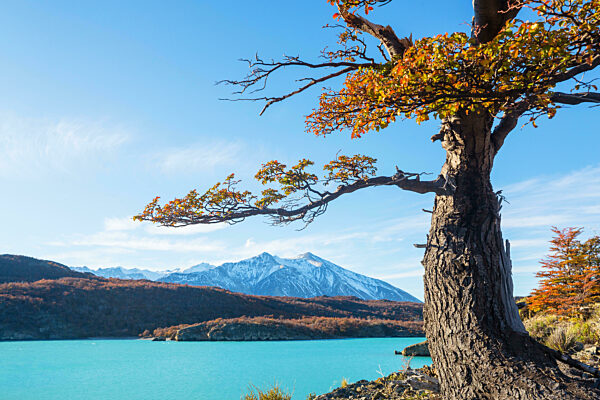 Herbstsaison in Patagonien, Südamerika, Argentinien