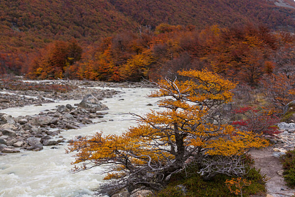 Herbst in Patagonien