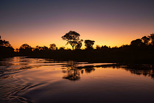 Atemberaubende Landschaft des Pantanal in der Abenddämmerung, Mato Grosso do Sul, Brasilien. Brasilianische Natur und Wildnis.