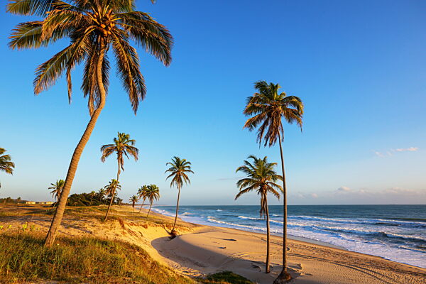 Beautiful summer landscapes  on the tropical beach in Brazil. Vacation background.