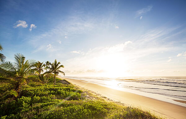 Beautiful summer landscapes  on the tropical beach in Brazil. Vacation background.