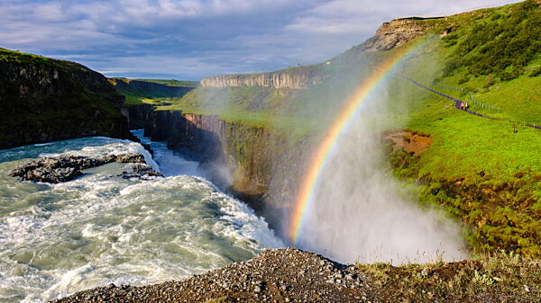 Der Wasserfall Gullfoss in Island stürzt in eine zerklüftete Schlucht, lässt Nebel in die Luft steigen und bildet einen leuchtenden Regenbogen. Üppiges Grün umgibt die dramatische Landschaft unter einem teilweise bewölkten Himmel.