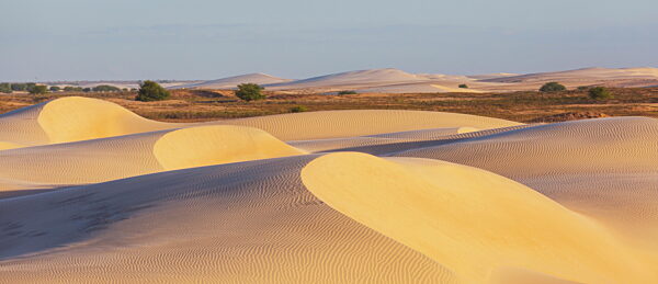 Sand dunes in northern Brazil at sunset