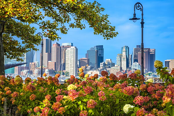 Boston Skyline Blick von Piers Park durch die Natur Rahmen