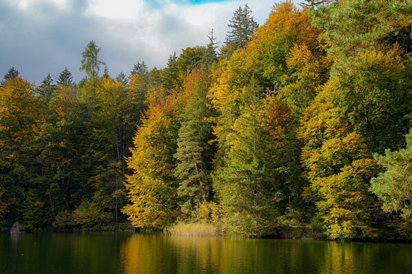 Herbstliche Atmosphäre und bunte Bäume am Hechtsee in Tirol