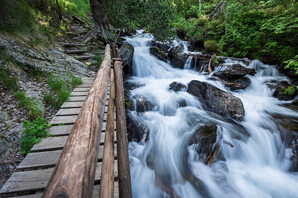 Der Fluss Estanyó im Wald, Naturpark Sorteny-Tal, Bezirk Ordino, Andorra, Europa