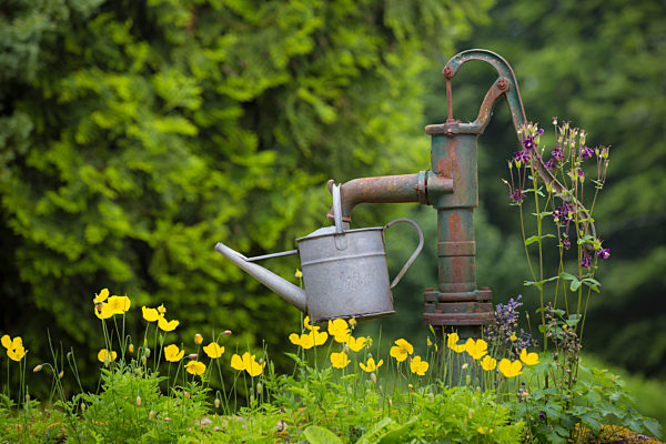 Water pump and watering can.