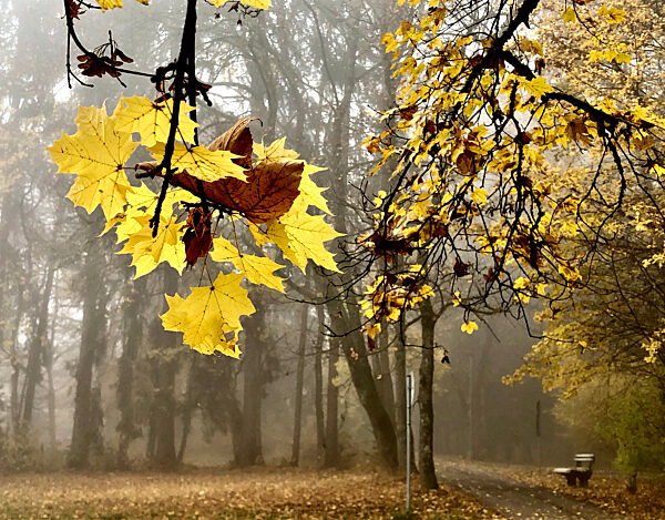 07.11.2021, Bad Woerishofen