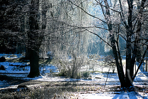 25.01.2022, Kurpark Bad Woerishofen