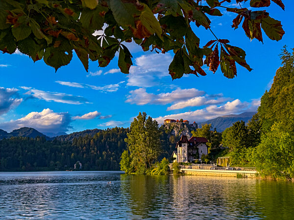 03.09.2025, Bled