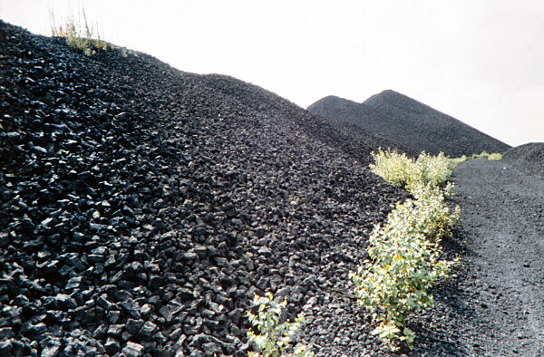Leben im Revier mit Steinkohle - 1979