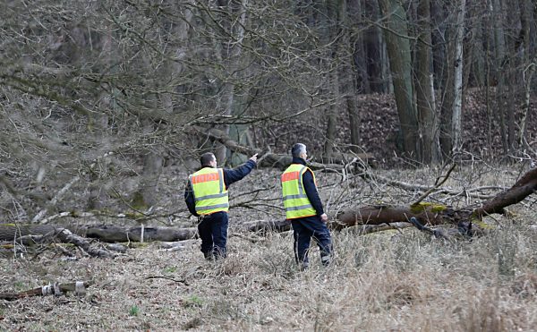 Germany: Police search forest area for the missing
