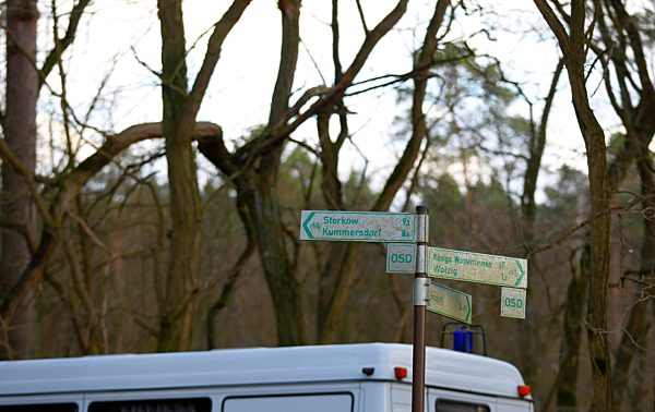 Germany: Police search forest area for the missing