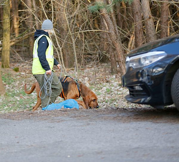Germany: Police search forest area for the missing