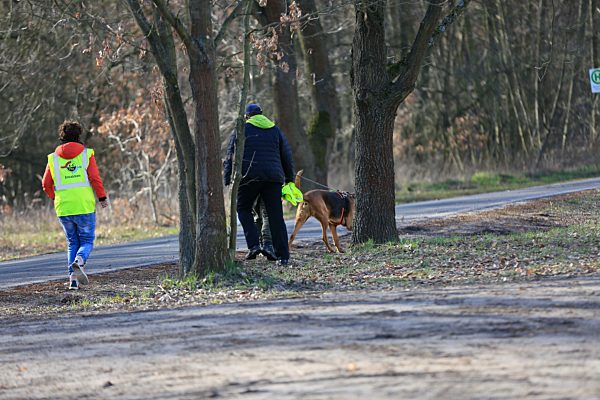Germany: Police search forest area for the missing