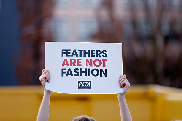 Germany: Peta protesters against use of feathers in fashion