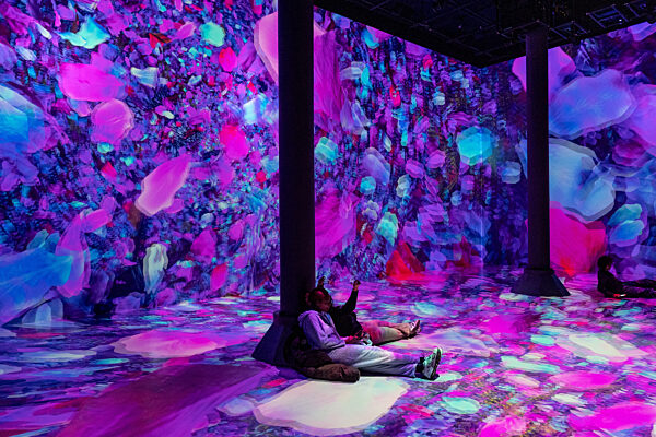 US: Media day preview for 'Blooming Wonders' at Artechouse