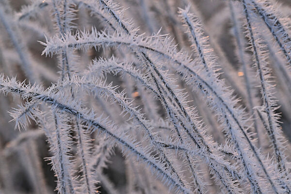 Kalter Wintermorgen - Wetter in Brandenburg