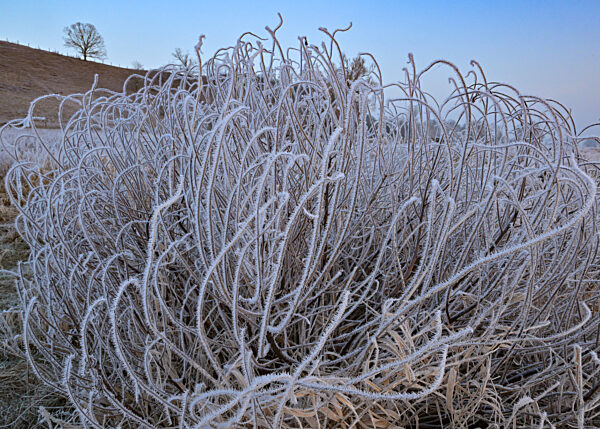 Kalter Wintermorgen - Wetter in Brandenburg
