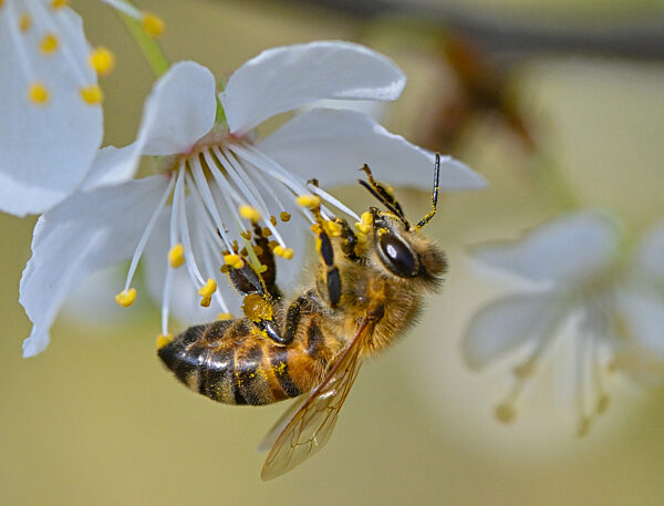 Sonniges Frühlingswetter
