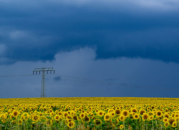 Wetter in Brandenburg