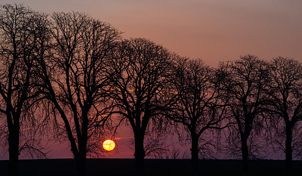 Sonnenaufgang in Brandenburg