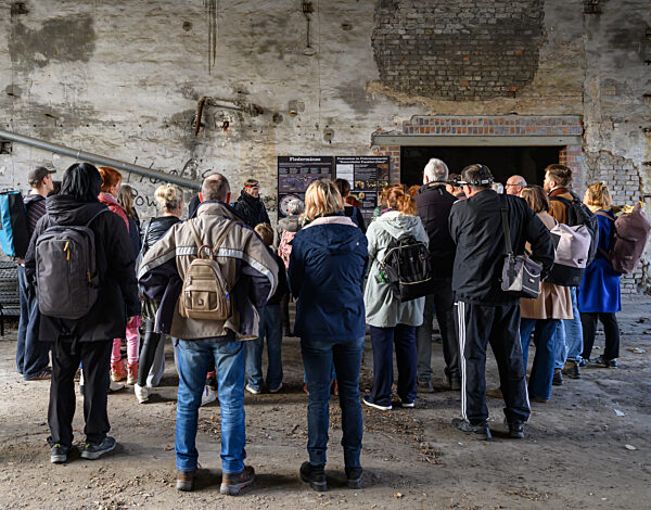 Fledermausquartier in Gewölben von alter Brauerei