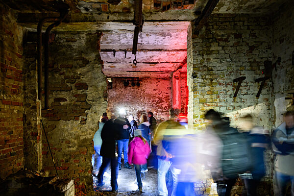 Fledermausquartier in Gewölben von alter Brauerei